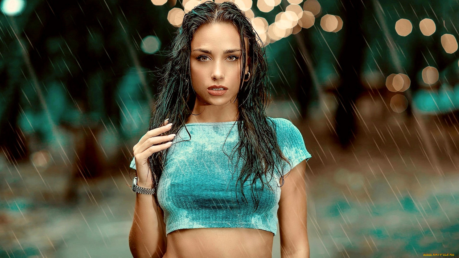 , - ,  , , , 